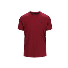 Футболка Oslo Training T-Shirt Men SUN-DRIED TOMATO