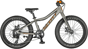 Велосипед Roxter 20 raw silver Велосипед Roxter 20 raw silver