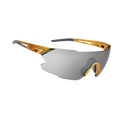 Очки Northug GOLD POLARIZED GOLD BLUE Narrow