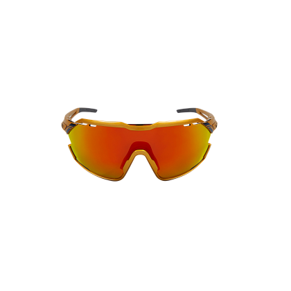 Очки Northug GOLD POLARIZED GOLD Standard