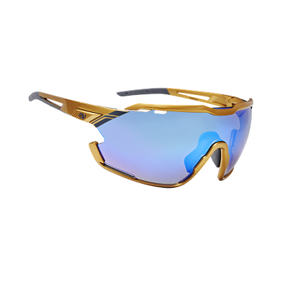 Очки Northug GOLD POLARIZED GOLD BLUE Narrow